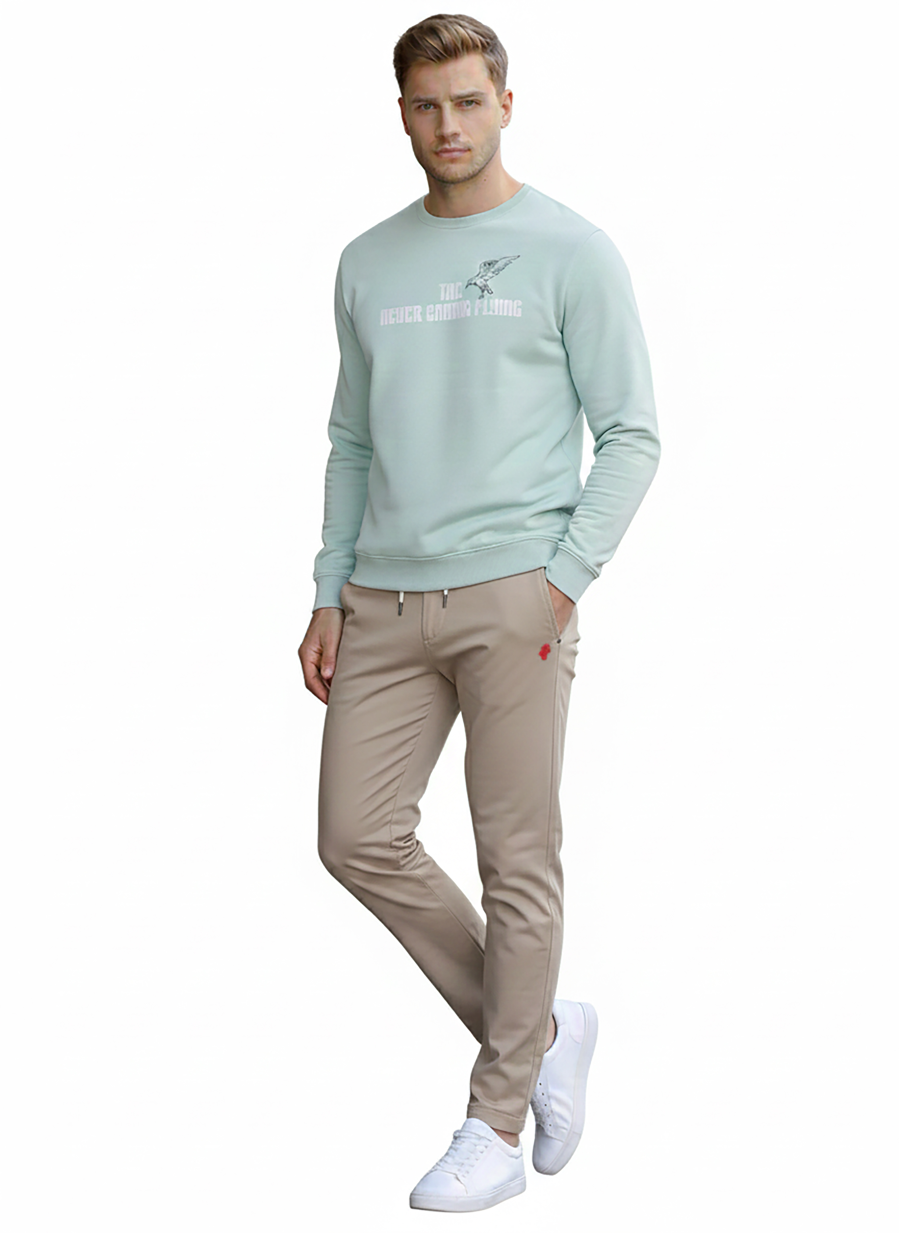 Flying Graphic Sweatshirt in Pista - image 1